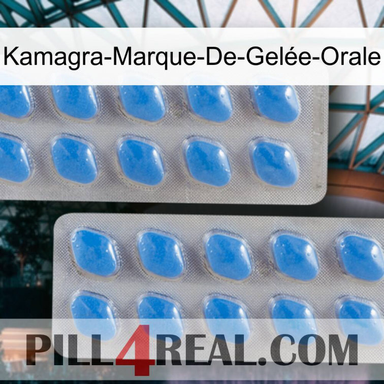 Kamagra-Marque-De-Gelée-Orale 23